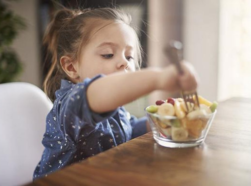 alimentos do verao